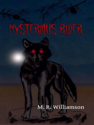 cover image of Mysterious Rider
